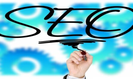 SEO Writing Guide for Beginners and Samples