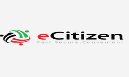 e-Citizen Registration Guide, Services, Login and Contacts