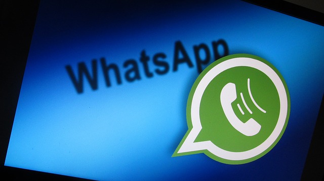 how-to-call-on-whatsapp-web-plesat