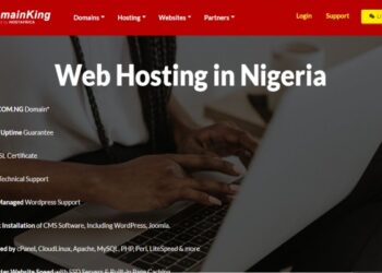 Domainking Hosting, Promo Code, Cpanel, Review, Login