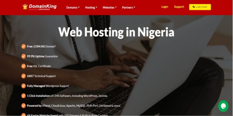 Domainking Hosting, Promo Code, Cpanel, Review, Login